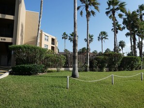 Un área con césped, una cerca de malla metálica, palmeras y un edificio donde se ve el número 115.