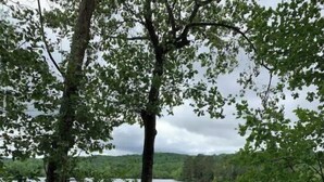Terraza de madera con vista a un lago, con un pabellón y una zona cubierta.