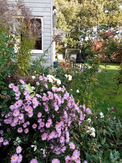Haus im Ländlichen Garten für Familien Auch mit Hund