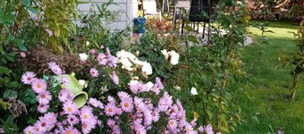 Haus im Ländlichen Garten für Familien Auch mit Hund