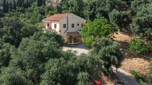 Une maison de plain-pied entourée d’une végétation luxuriante, offrant une vue dégagée sur le paysage environnant.