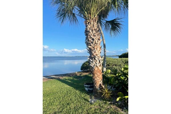 Unclassified image, 1 of 28, button