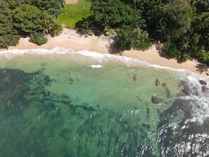 Front of property - Bird Island Bungalows (Bocas del Toro)