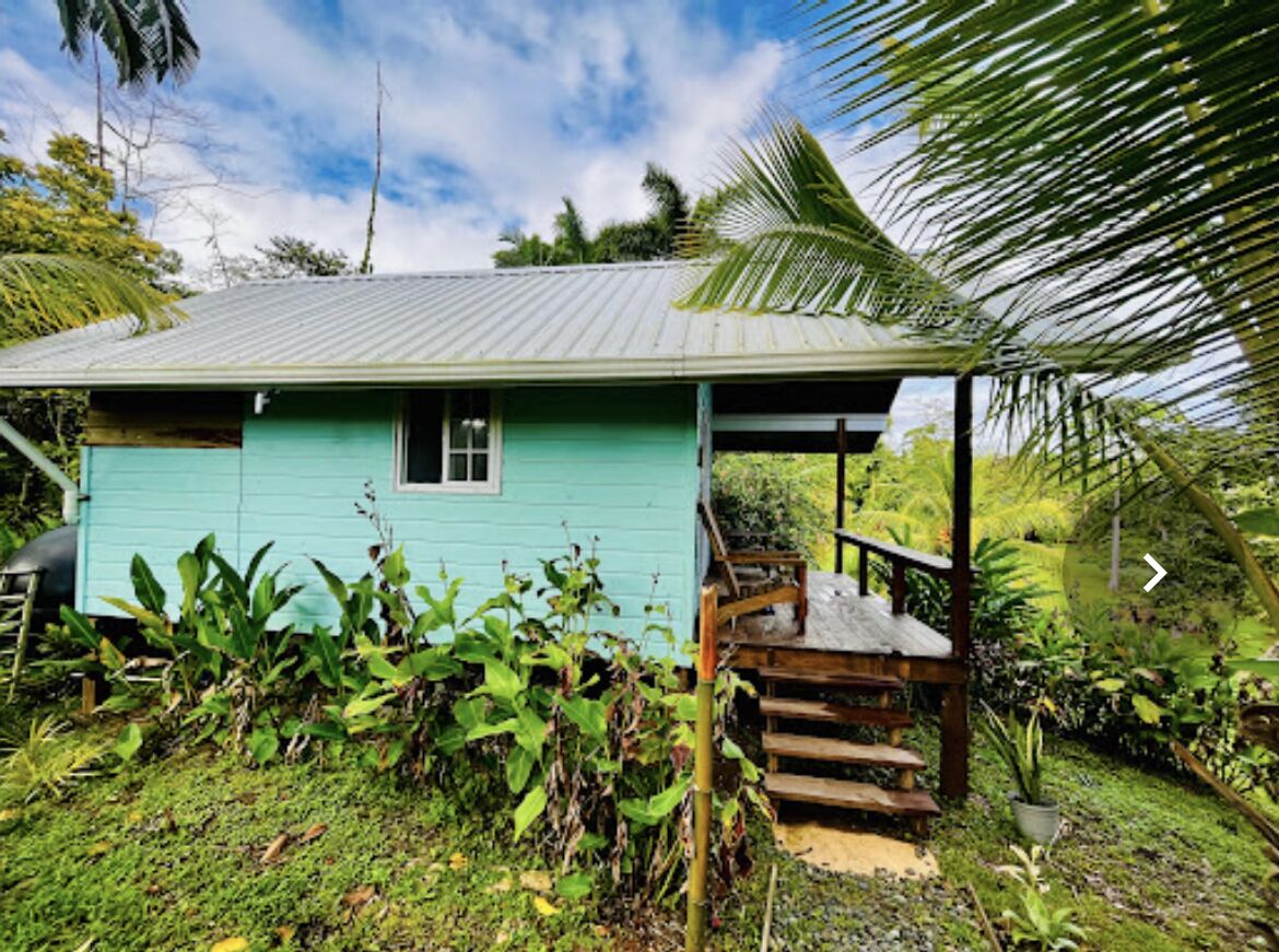 Cabin Premium | Két bảo mật tại phòng, trang trí khác biệt 