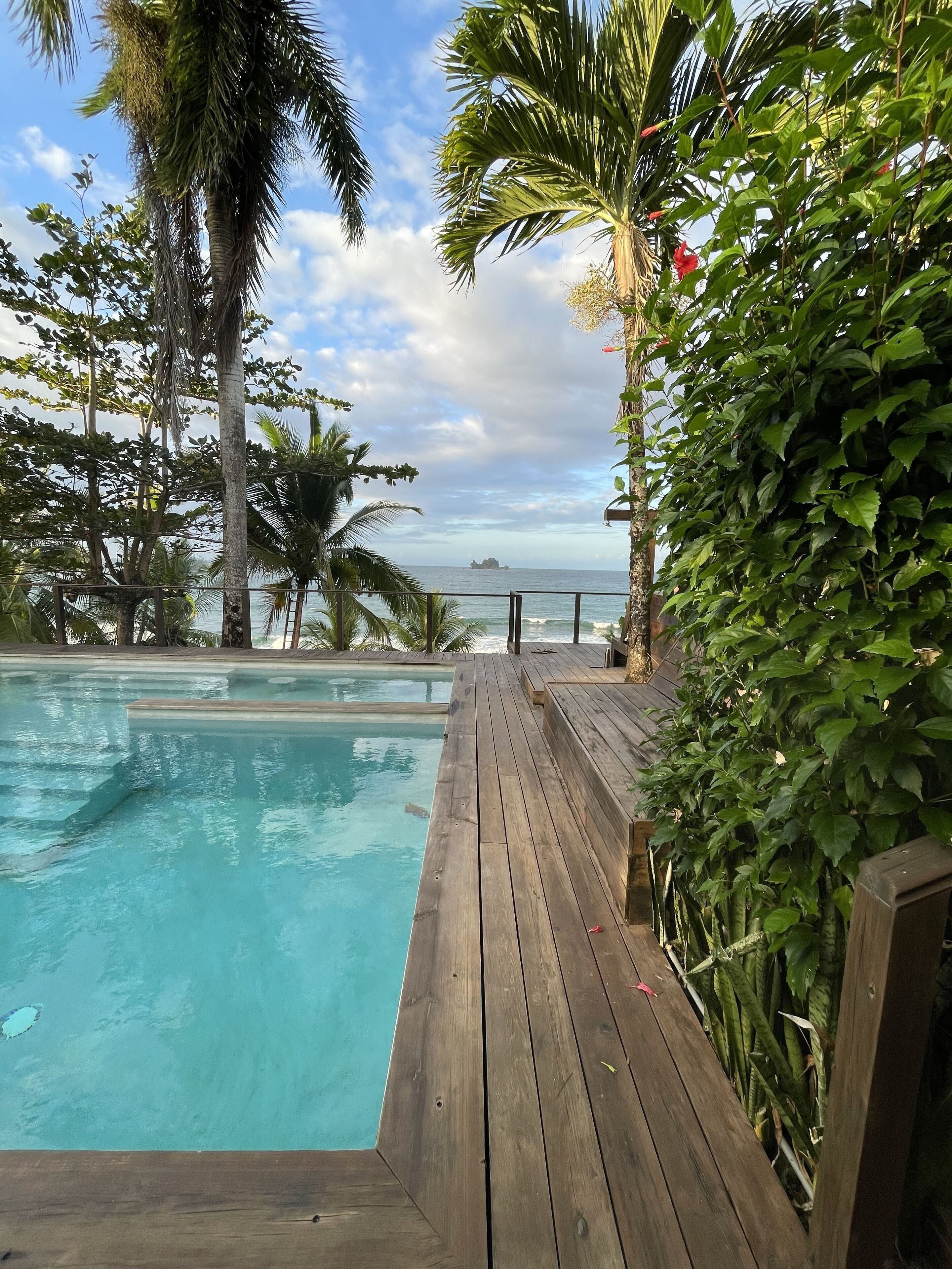 Outdoor pool, pool loungers