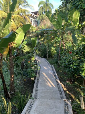 Jardim