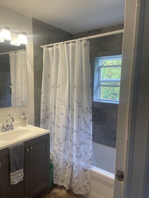 Combined shower/bathtub - Completely remodeled lower unit in historic 1880's house. (Ishpeming)