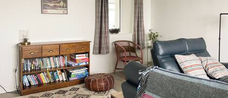 A living room with a sofa, a bookshelf, a patterned rug, and plaid curtains.
