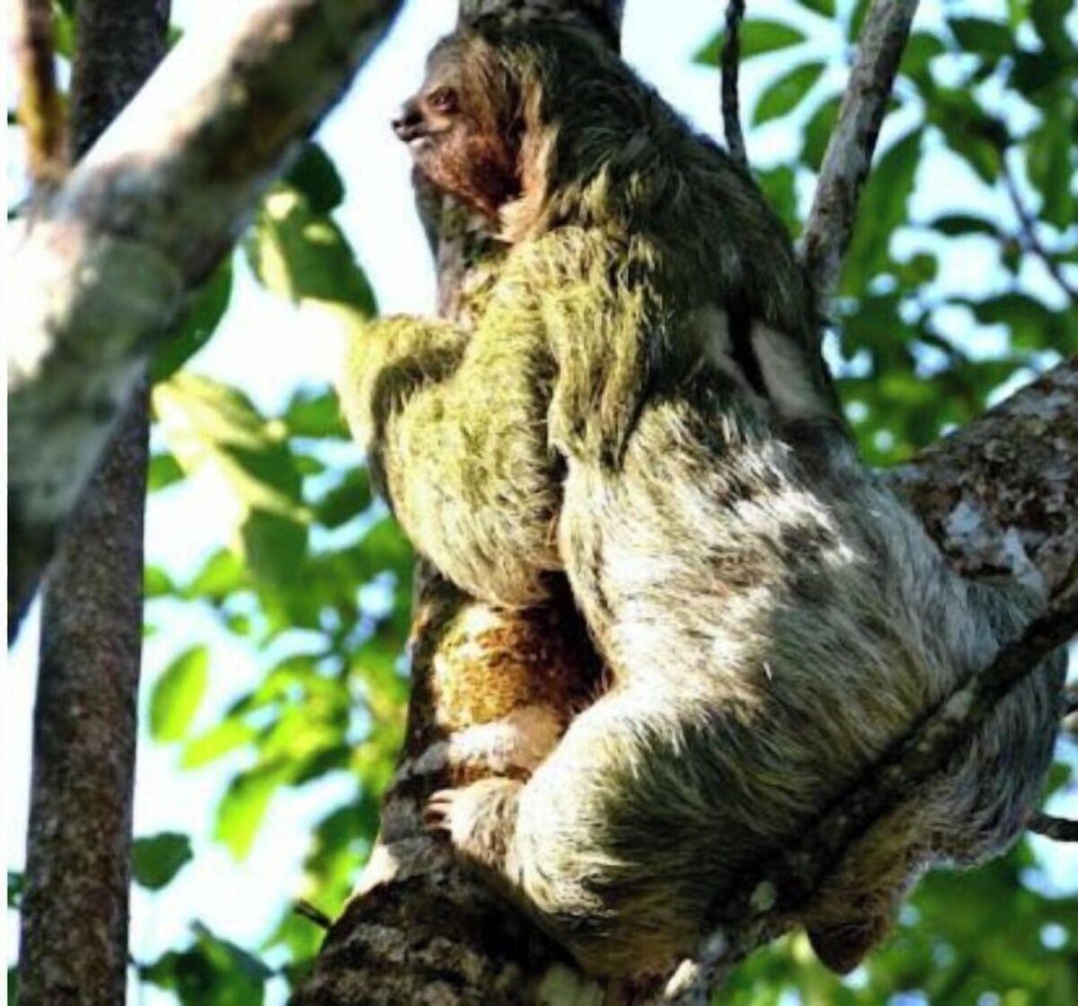 Image de profil de l’hôte