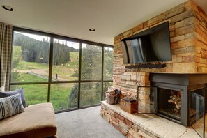 Fireplace, DVD player