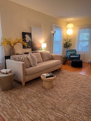 Smart TV, chimenea, libros y biblioteca musical