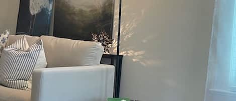 Smart TV, fireplace, books, music library