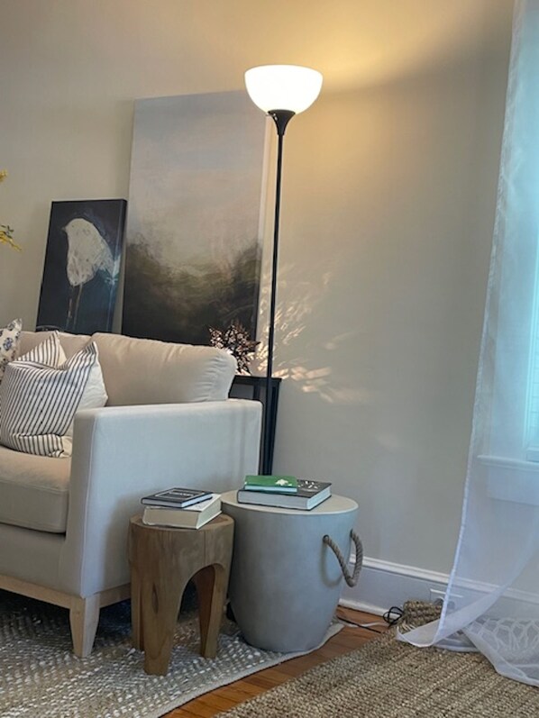 Smart TV, fireplace, books, music library