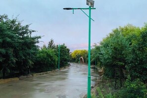 Un sendero bordeado de follaje, un farol y una jirafa distante.