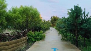 Un sentier bordé d’une végétation luxuriante et d’une clôture en bois.