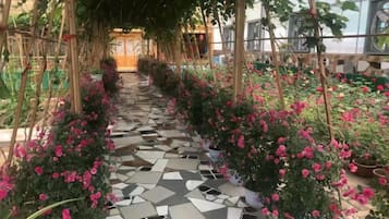 A covered walkway with a tiled floor, surrounded by potted plants and flowers.