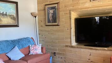 Älytelevisio, kirjoja