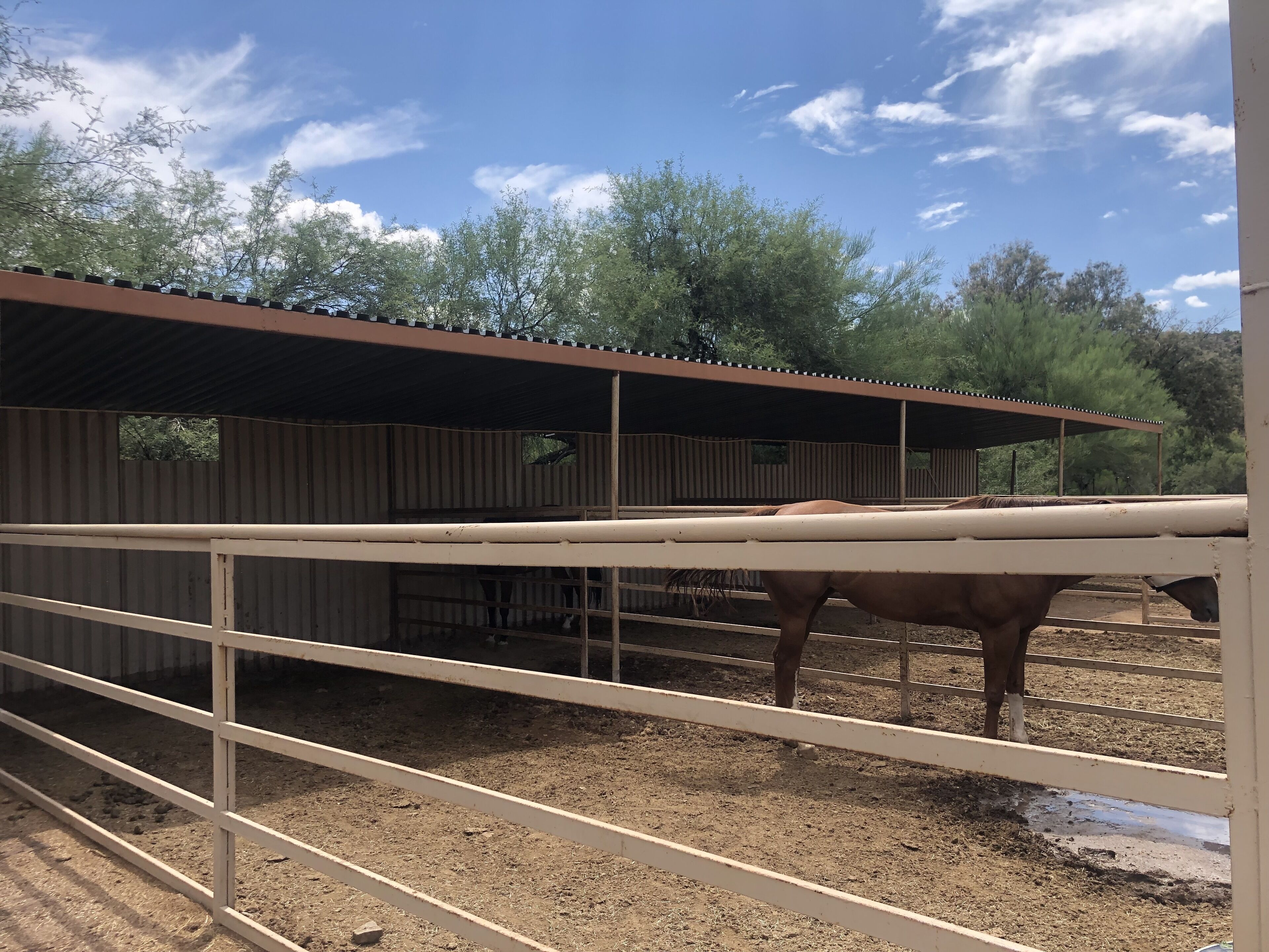 A stable with a horse inside, surrounded by a metal fence and a covered shelter.