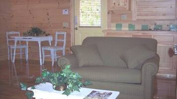 TV, fireplace, DVD player