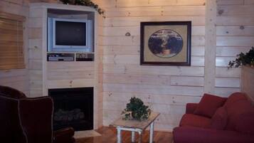 TV, lareira, DVD player