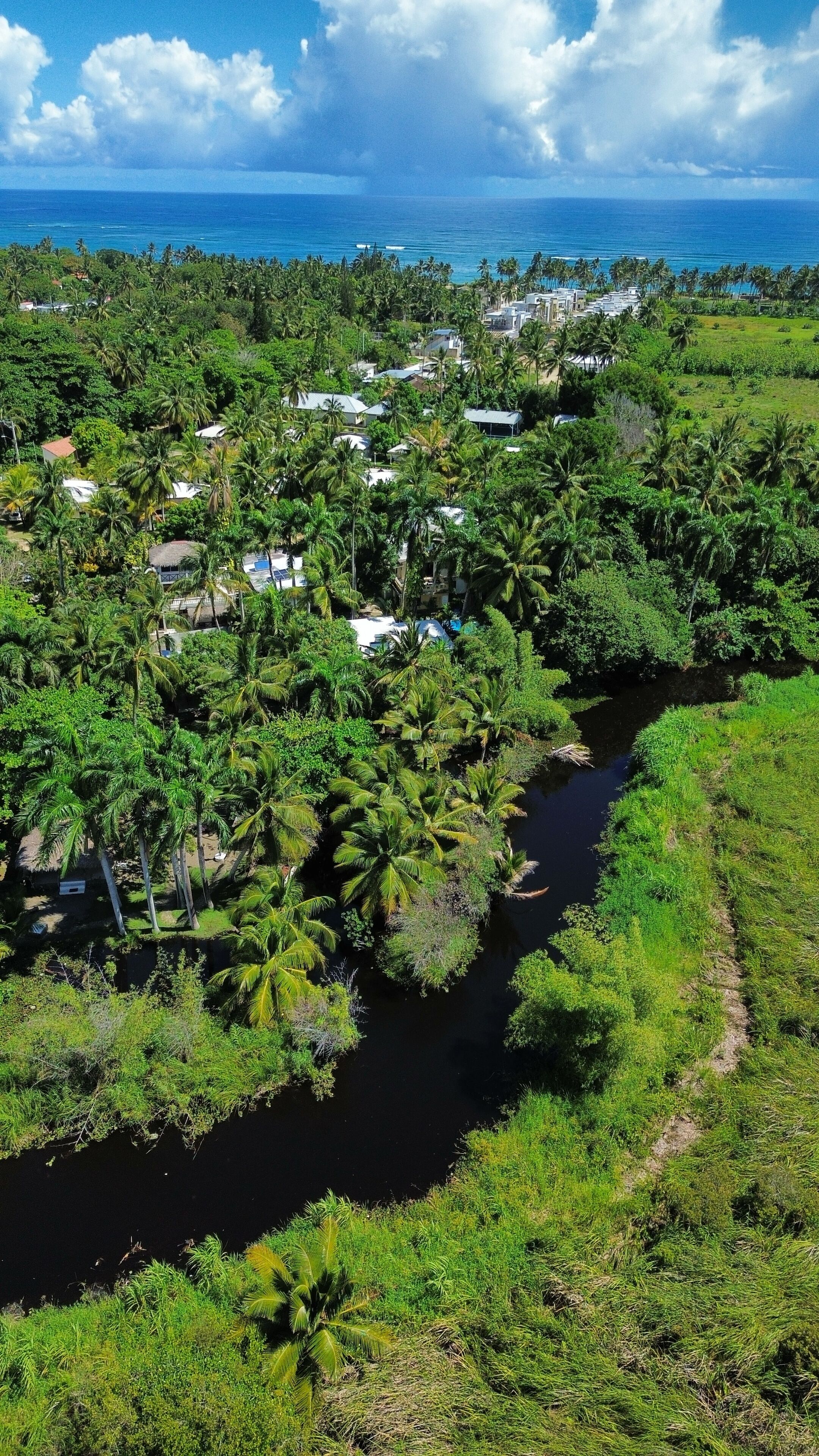 An aerial view of a coastal area with dense greenery, a river, and buildings with thatched roofs.