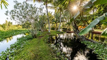 Exclusive Villa | Garden