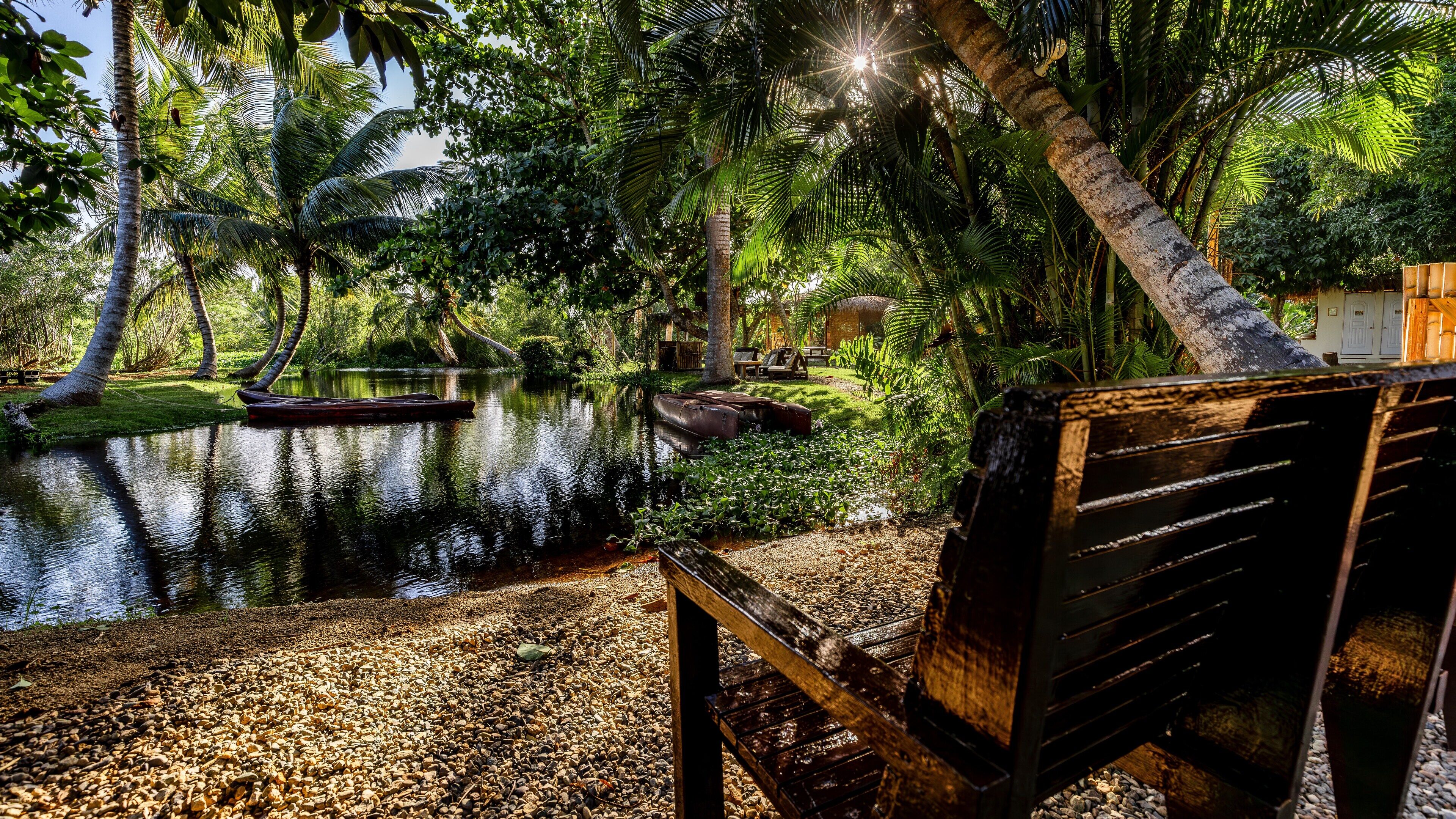 A serene outdoor area with a wooden bench, a small pond, and lush greenery.