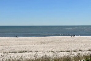 بالقرب من الشاطئ