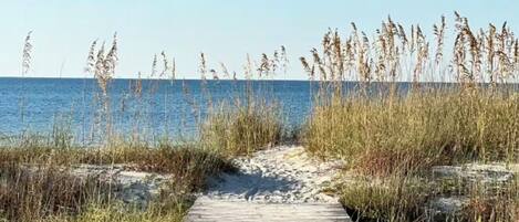 Plage, chaises longues, serviettes de plage