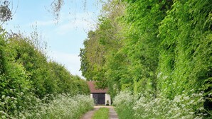 A narrow path leading to a small building with a red roof, surrounded by dense green foliage and white flowers. - 4 bedroom accommodation in Blackdown Hills, near Culmstock (Blackdown Hills, near Culmstock)