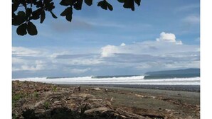 Une plage avec des vagues, quelques morceaux de bois flotté et un ciel dégagé.