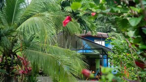 Un jardin tropical avec une maison dotée d’une façade en verre et d’un toit en pente.