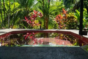 Outdoor pool - Walk to the Beach~Chill by the Pool (Puntarenas Province)