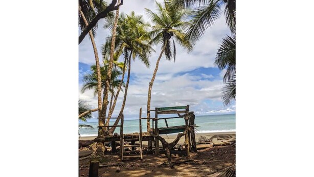 A beach with a wooden bench and palm trees. - Comfortable Casita, walking distance to the Beach (Puntarenas Province)