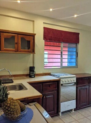 Fridge, oven, stovetop, coffee/tea maker