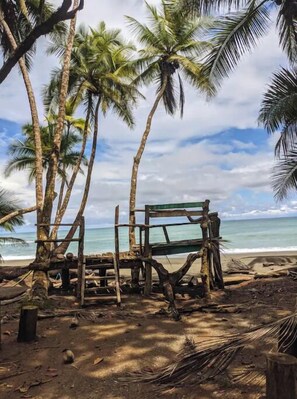 Una playa con un banco de madera y palmeras.
