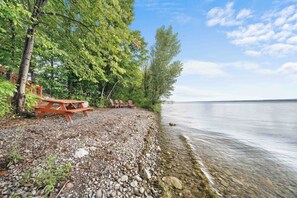 Property grounds - Olver Farm Guest House : Park-Like Setting (Romulus)