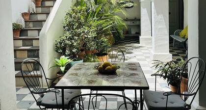 Huge traditional house with central patio in historic village