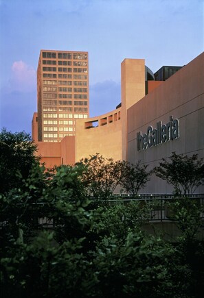 Exterior - *Hidden Gem* cozy 1 bd/1bath NRG/TMC/DT/Zoo/Museums (Houston)