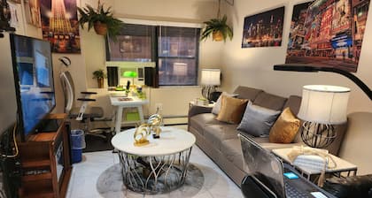 Traveling Nurse & Healthcare Professional One Bedroom Fully Entire Apartment