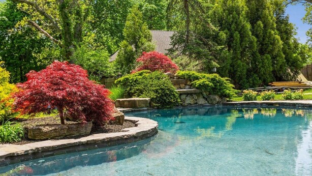 Pool - Westhampton Wonder (Westhampton)