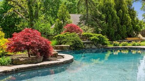 Pool - Westhampton Wonder (Westhampton)