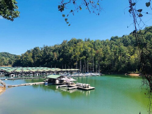 CABIN AT THE COVE at Watauga Lake!