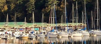 CABIN AT THE COVE at Watauga Lake!
