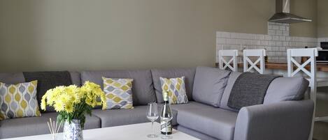 تلفزيون، مدفأة