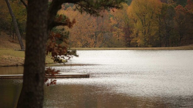 Un lac paisible, avec un quai et des arbres en arrière-plan.