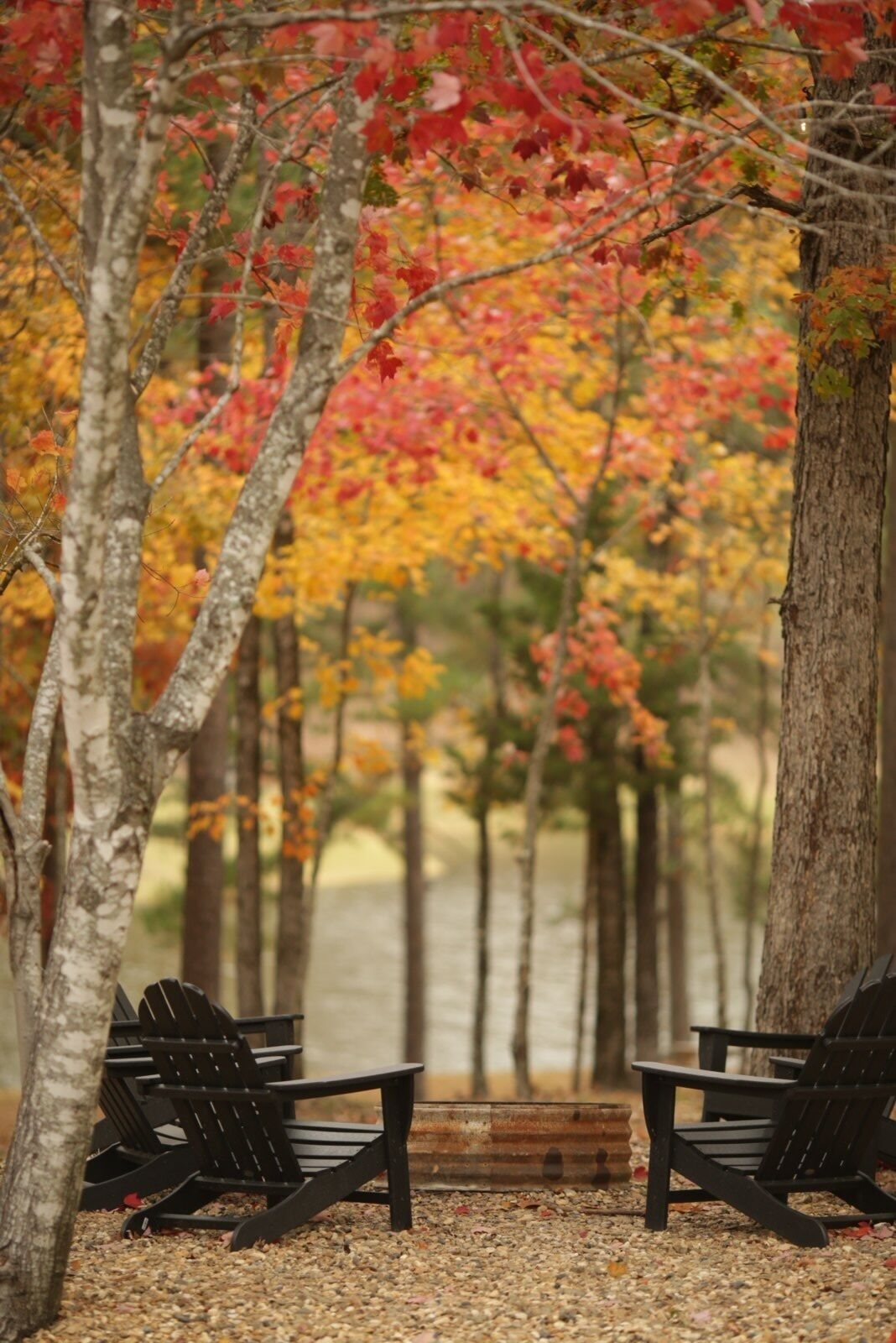 Een rij Adirondack-stoelen aan een meer, met herfstkleurige bomen op de achtergrond.