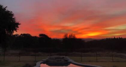 Quiet, Comfy Garage Apartment