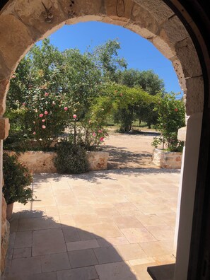 Terrain de l’hébergement 