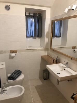 Combined shower/tub, hair dryer, bidet, towels